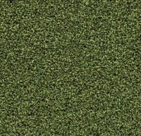 2608 Fresh Grass Coral Bright 1.30 br 